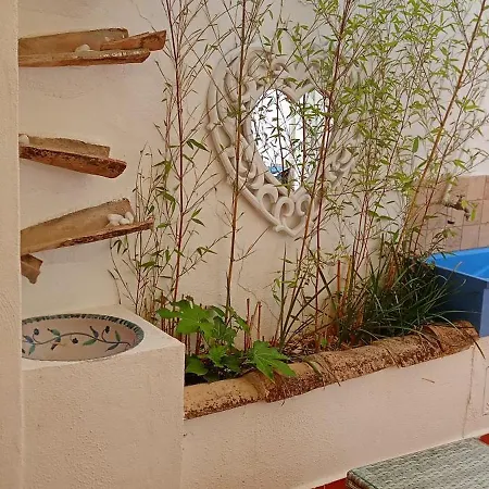 Appartement La Estrellita *