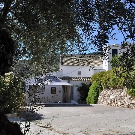 Apartment La Estrellita